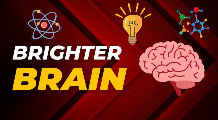 Brighter Brain